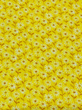 American Cotton