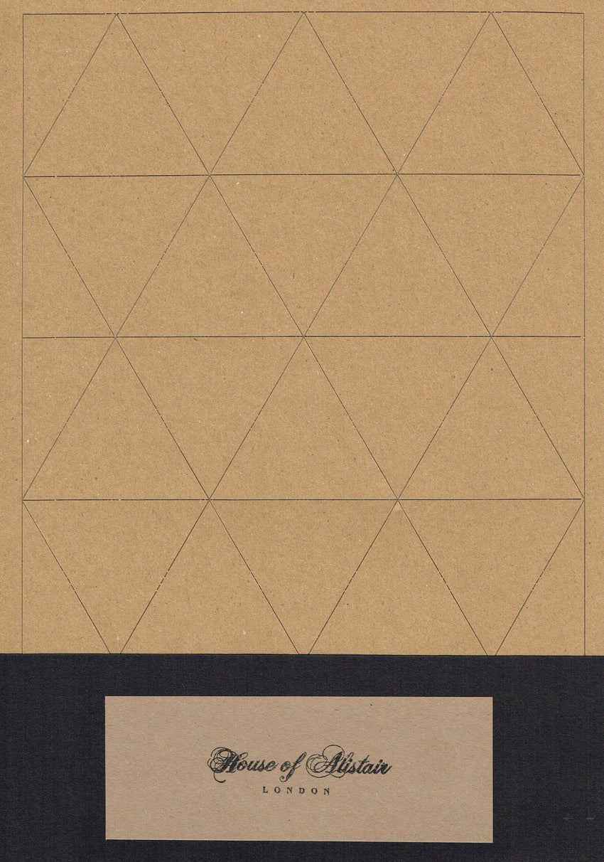 2.5" Triangle Paper Piecing Pack
