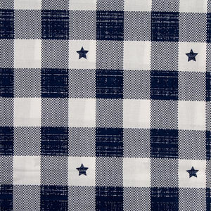 Stars and Checks Extra Extra Wide Quilt Backing